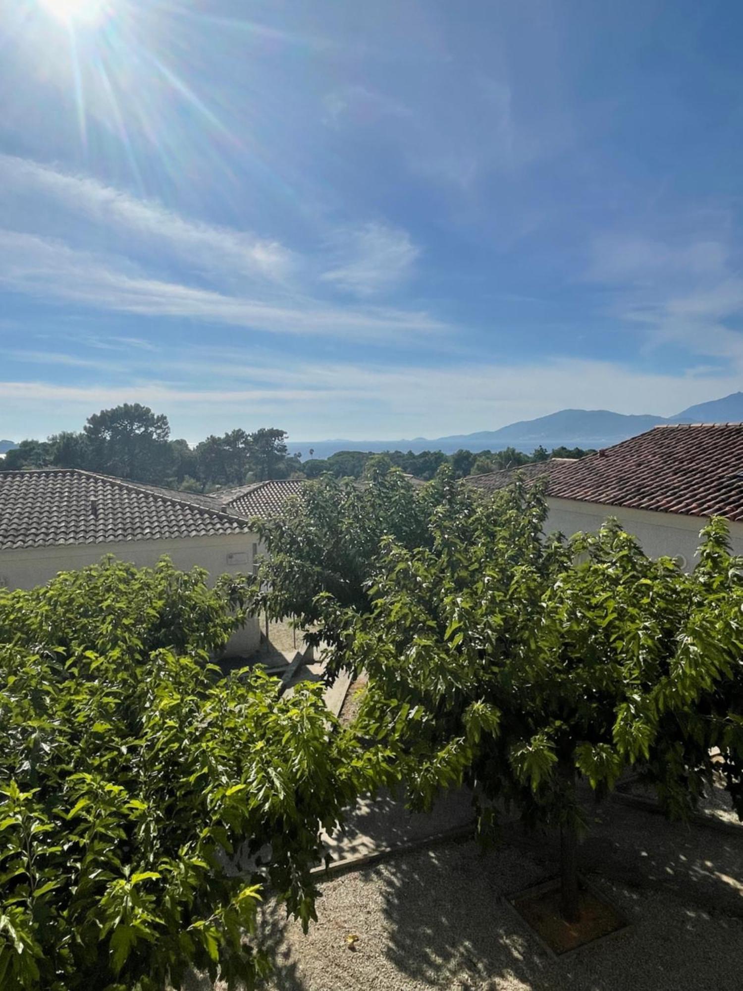 Duplex Porticcio Centre Apartment *